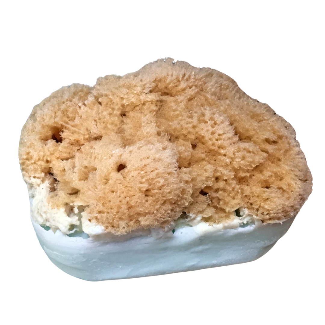 Basil, Sage & Mint Sea Sponge Soap