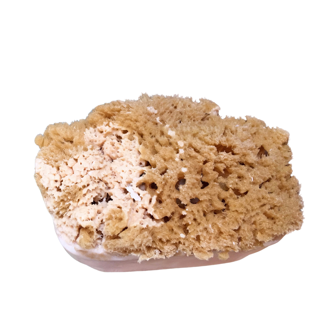 Almond Cherry Sea Sponge Soap