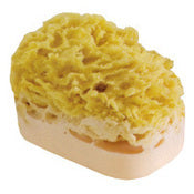 Pink Sugar fragrance Sea Sponge Soap
