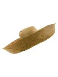 large brim hat