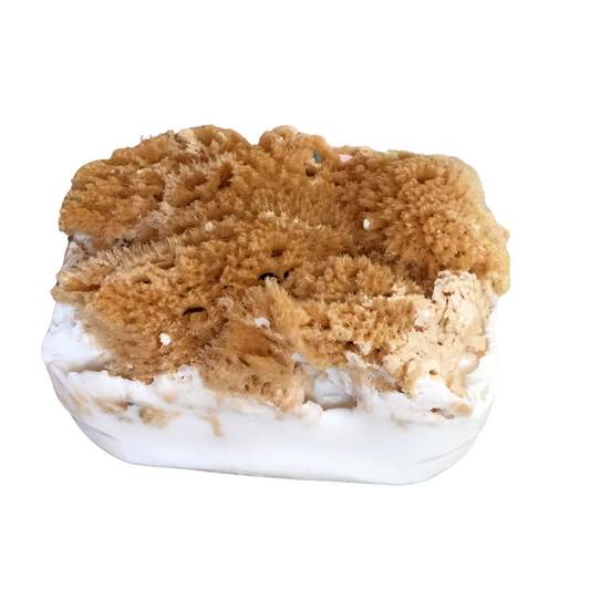 musk sea sponge soap