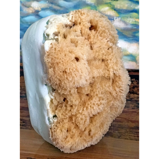 Swag Sea Sponge Soap