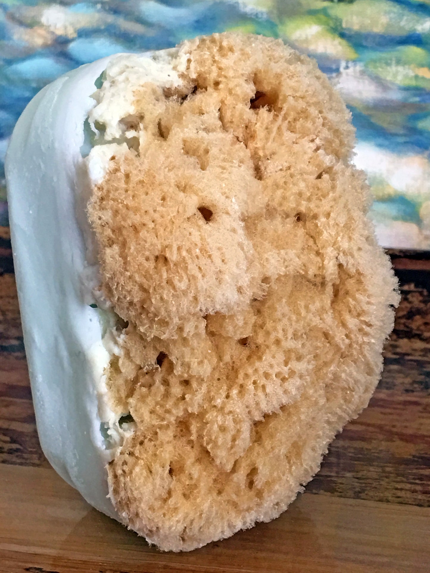 Heaven Scent Sea Sponge Soap