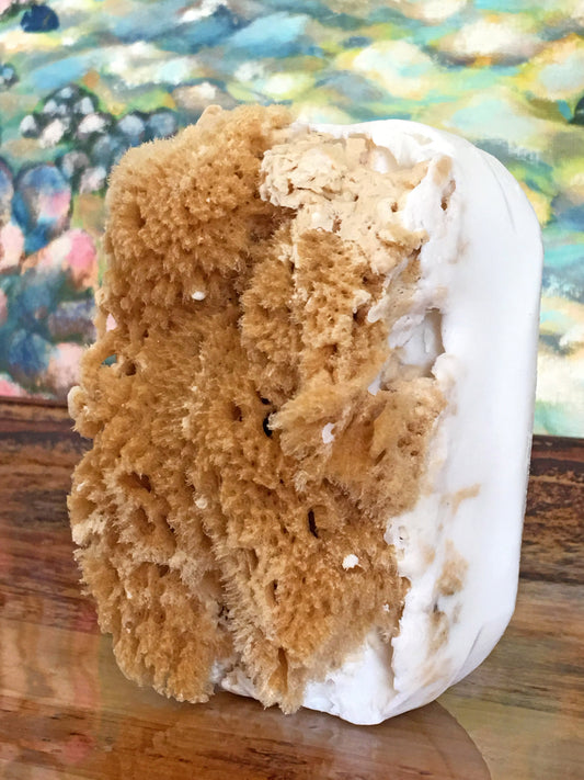 Coconut Sea Sponge Soap