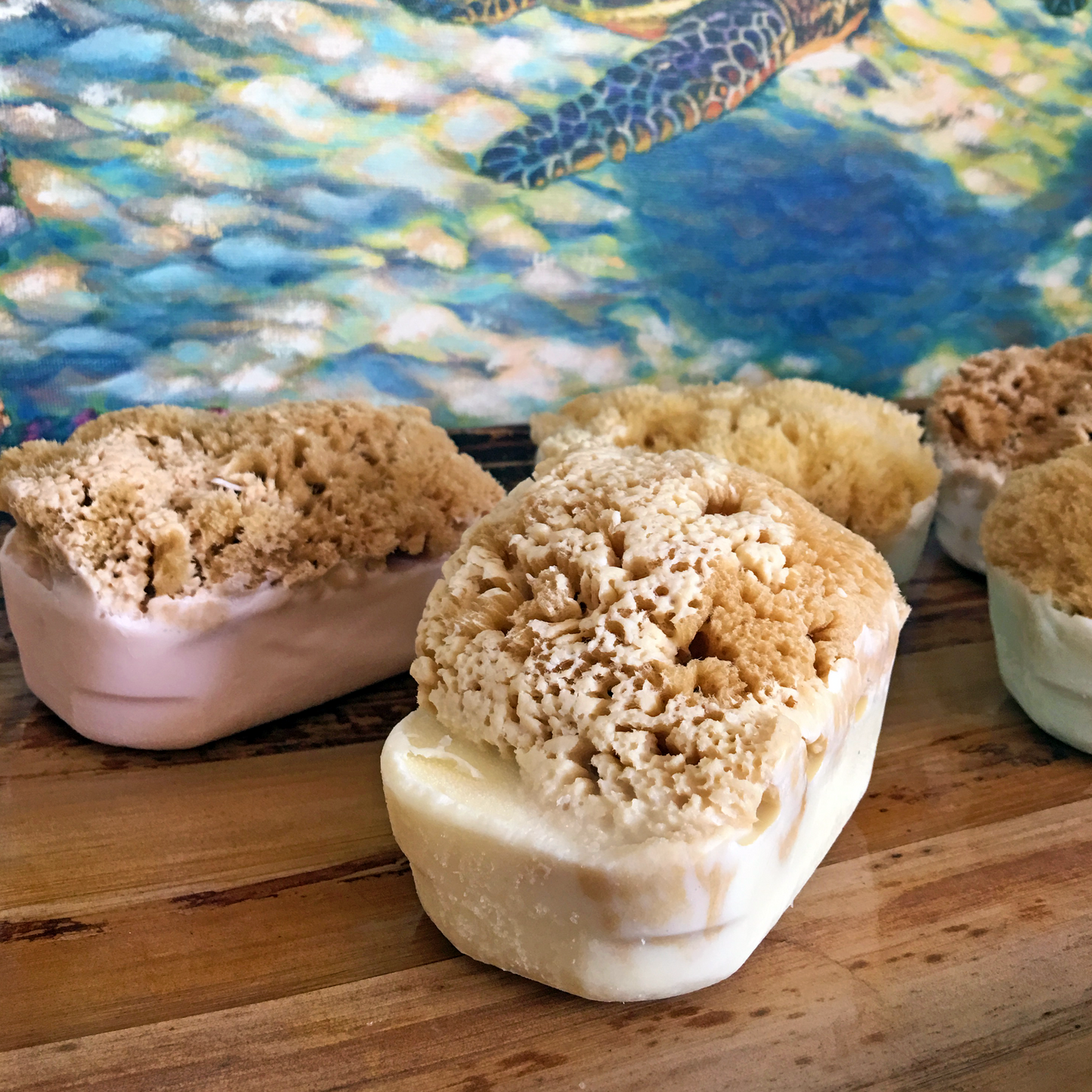 Sugared Citrus Sea Sponge Soap