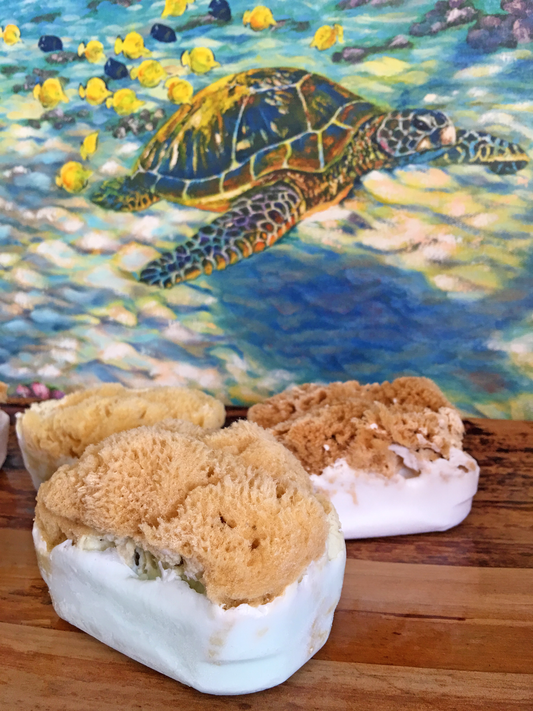 Cucumber Melon Sea sponge Soap